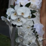 buquê cascata de orquídeas brancas